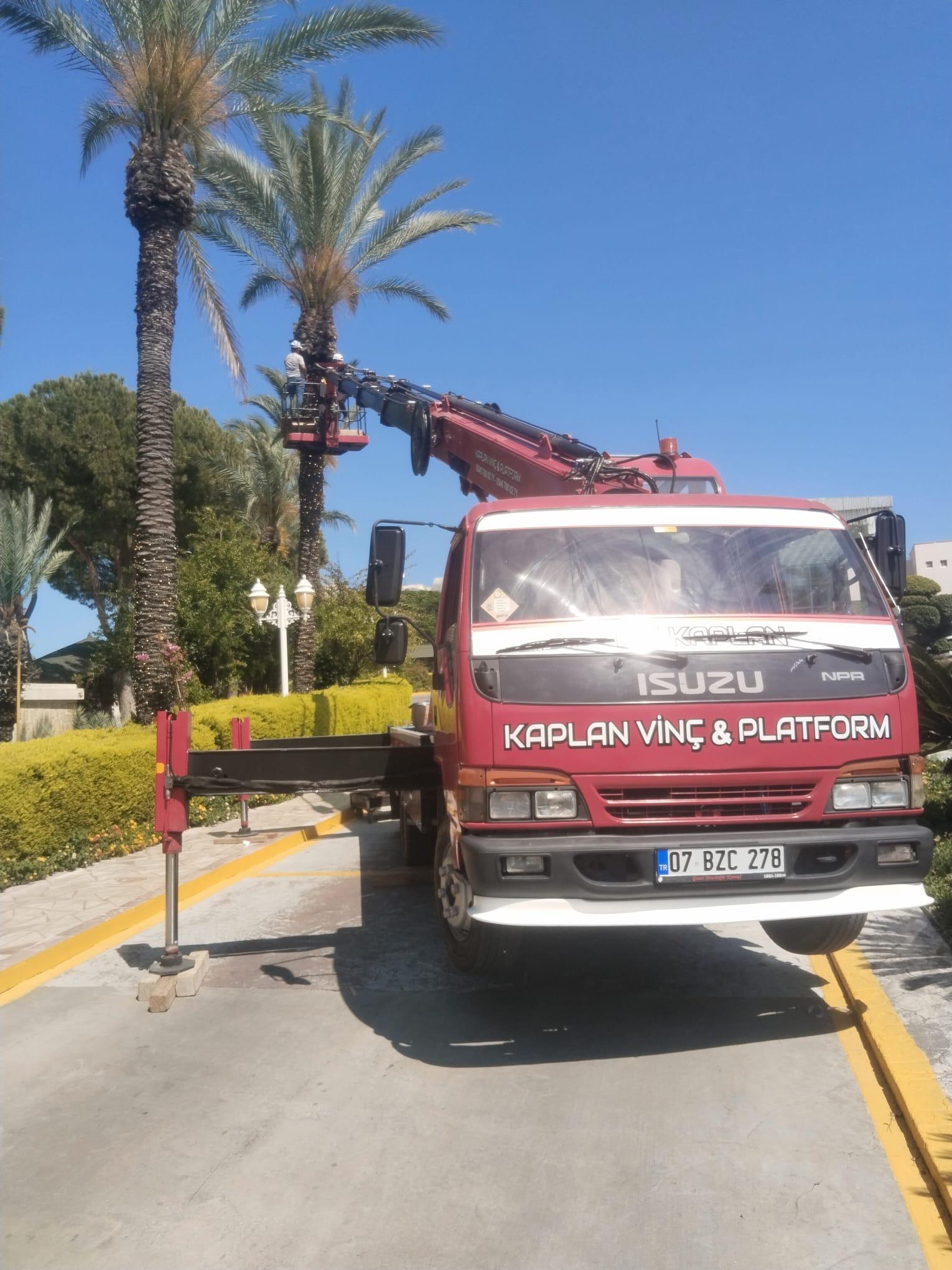 ÇALIŞMA ALANLARIMIZ